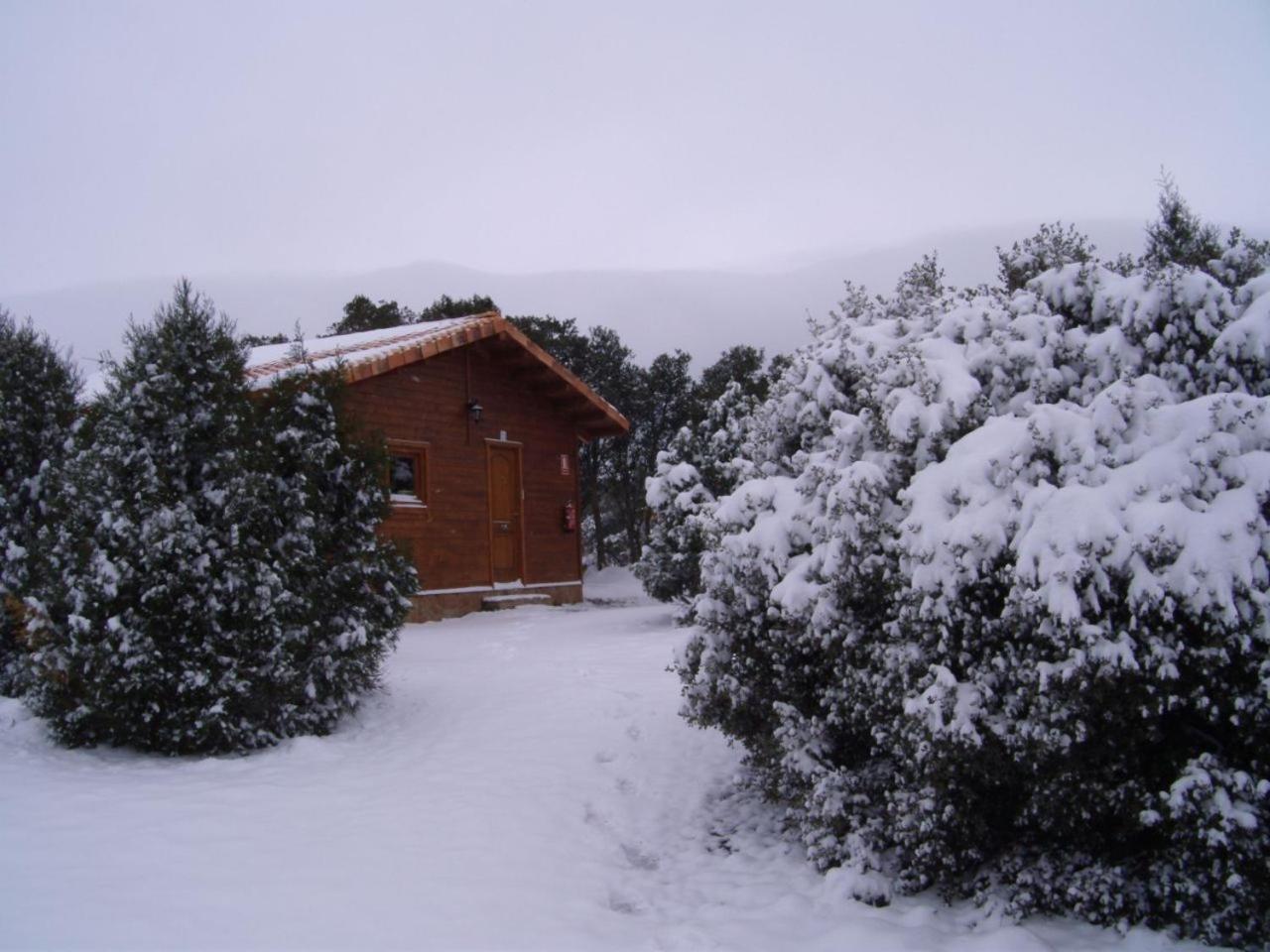 Camping Casa Fausto Cerca De Dinopolis Formiche Alto Exteriör bild